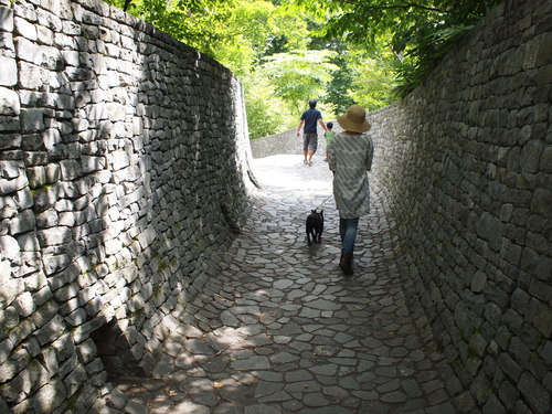 軽井沢の夏・その1_e0243765_2282133.jpg