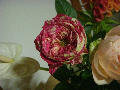 b0111970_15403239.jpg