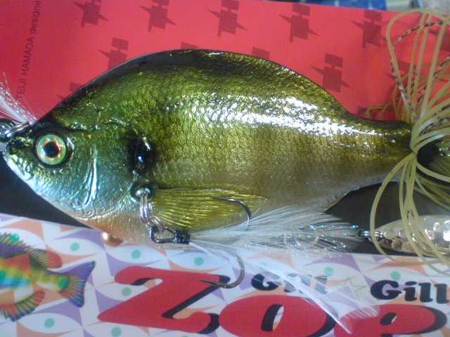 ゾーイ入荷しました_a0040876_15105660.jpg