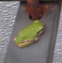 e0060483_20314657.jpg