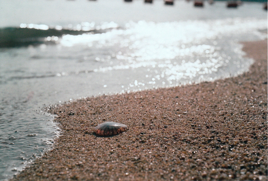 a0259984_4204315.jpg
