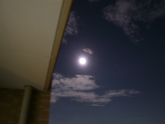 d0134785_2254735.jpg