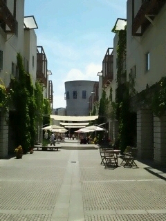 e0222588_17535.jpg