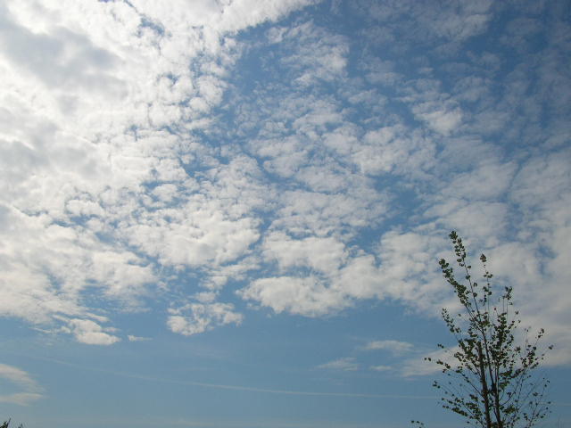 c0029190_22261620.jpg