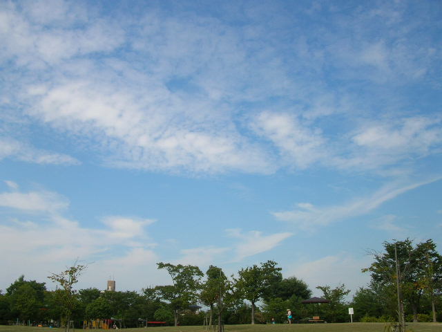 c0029190_2227598.jpg