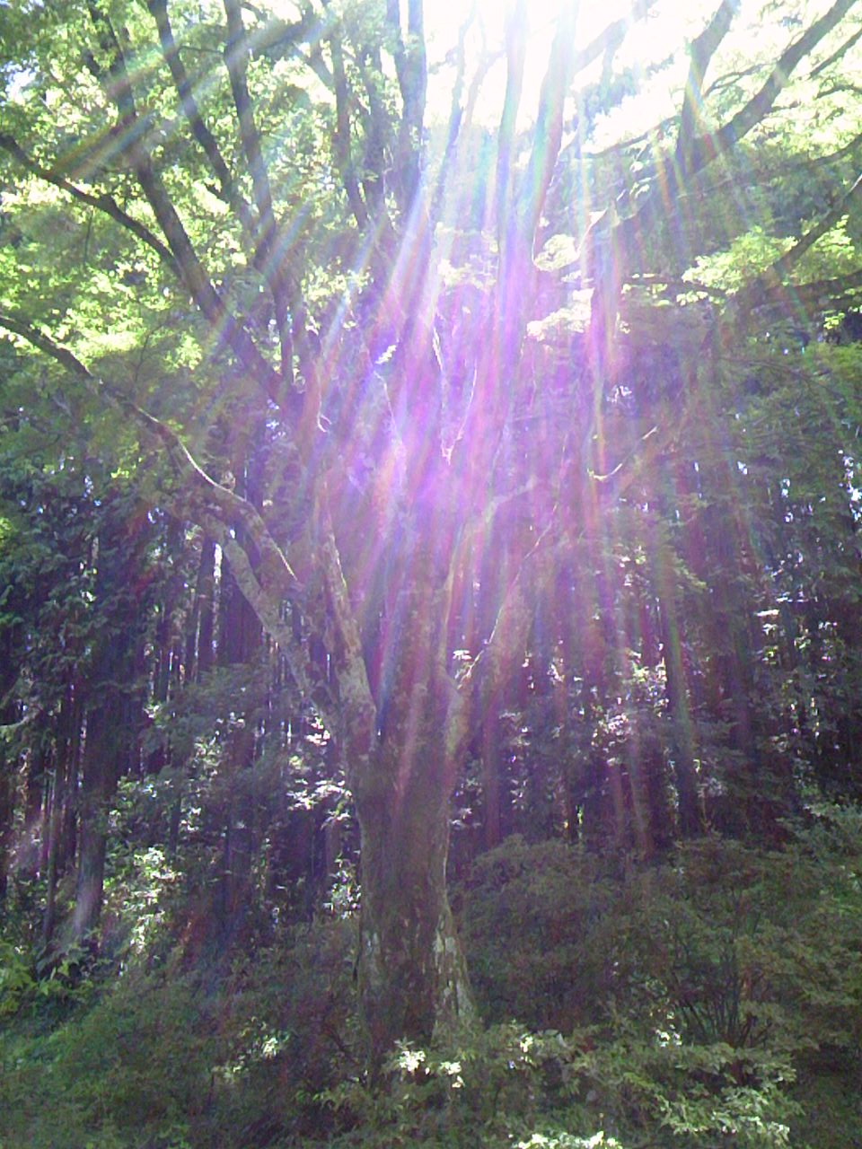 今シーズン最後のきらめ樹実習_e0263590_0252931.jpg