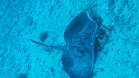 d0034291_855840.jpg