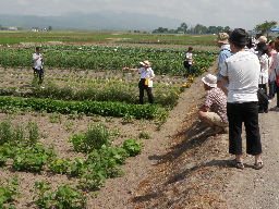 畑ツアー２０１２in岩見沢 第二章_d0122394_21385231.jpg