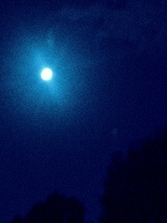 Blue moon_c0224296_23141899.jpg