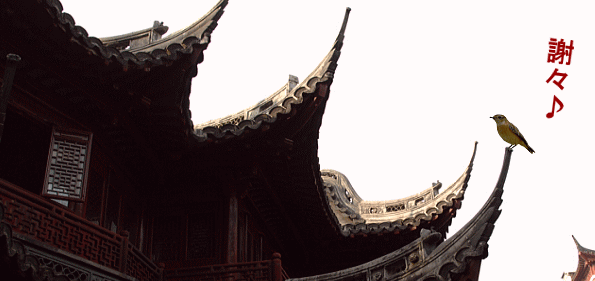 f0153497_1514173.gif