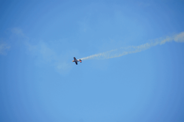 b0145398_192624.gif