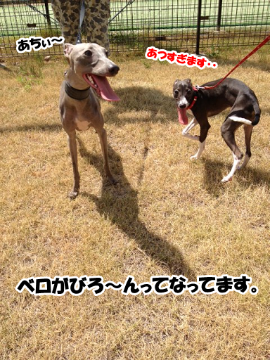 e0290901_16424533.png