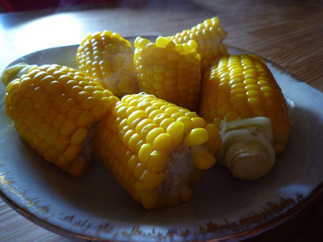 夏の旨いもん from 加子母(かしも)_f0073301_19582554.jpg