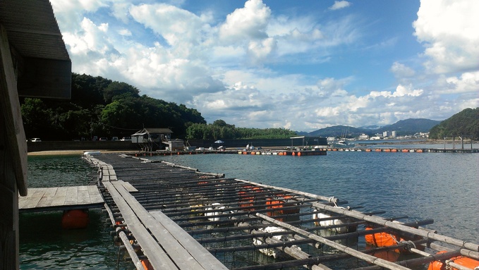 a0249003_2032275.jpg