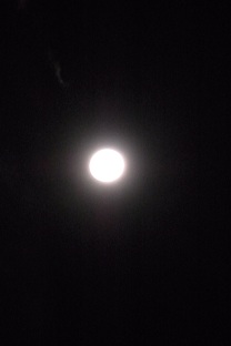 b0189603_19545338.jpg