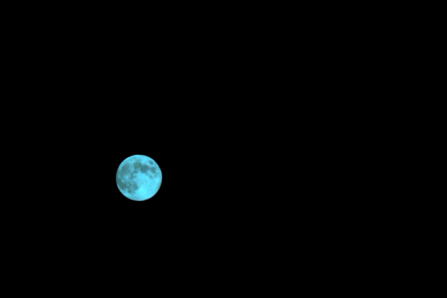 a0097006_021490.jpg