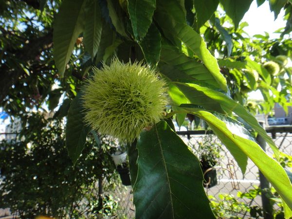 c0105306_12222450.jpg