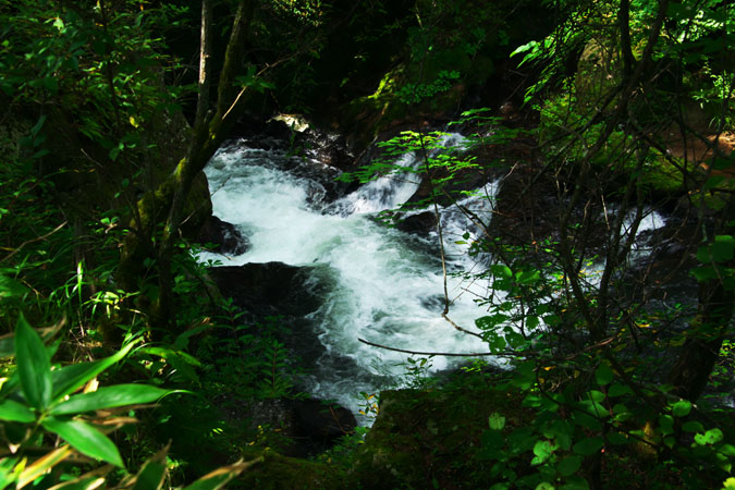a0263109_136172.jpg