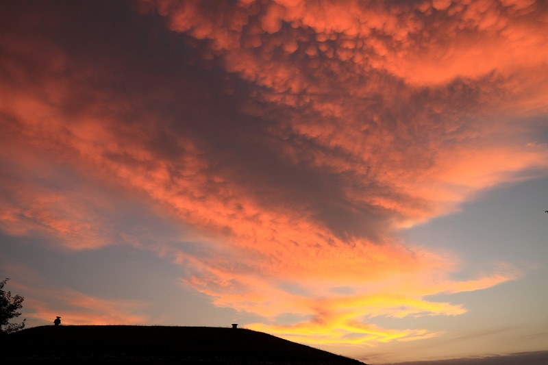 b0229909_10413685.jpg