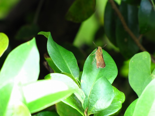 d0037110_18564431.jpg