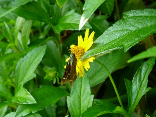 d0037110_20335996.jpg