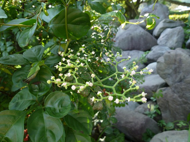 d0037110_20364252.jpg