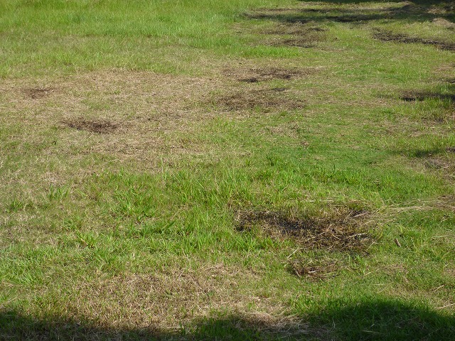 d0037110_20371884.jpg