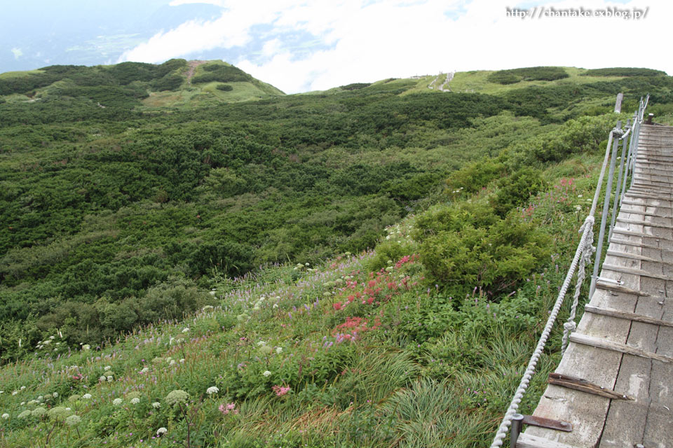 大山　夏山登山道　その３_c0189013_8104192.jpg