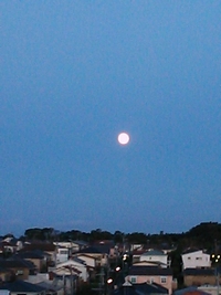 d0150013_16174695.jpg