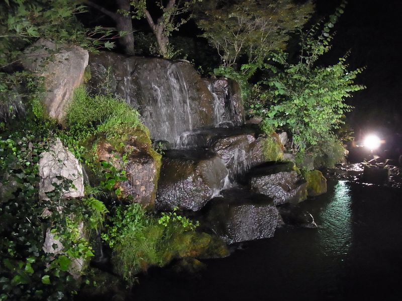 遅めの盆休み_c0025115_2293484.jpg