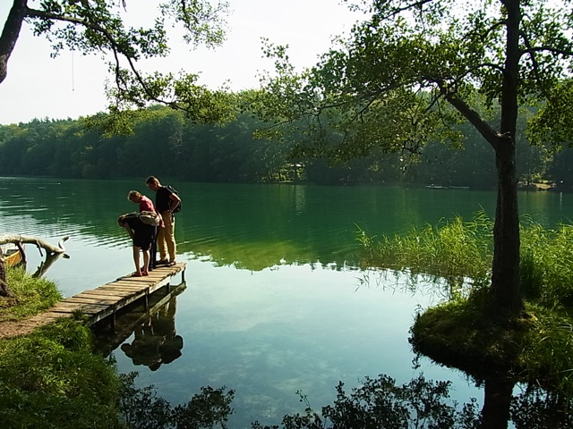 f0200015_053777.jpg