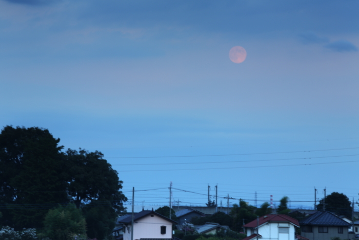 c0215627_9473276.jpg