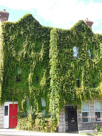 f0165730_150281.jpg