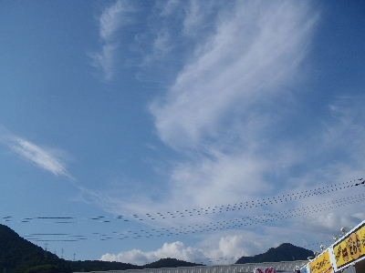 a0054240_20282322.jpg