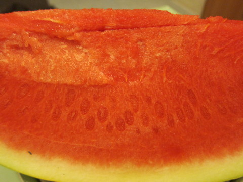 e0018143_1837730.jpg