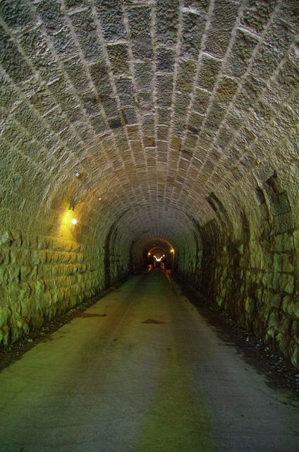 d0186245_1575853.jpg