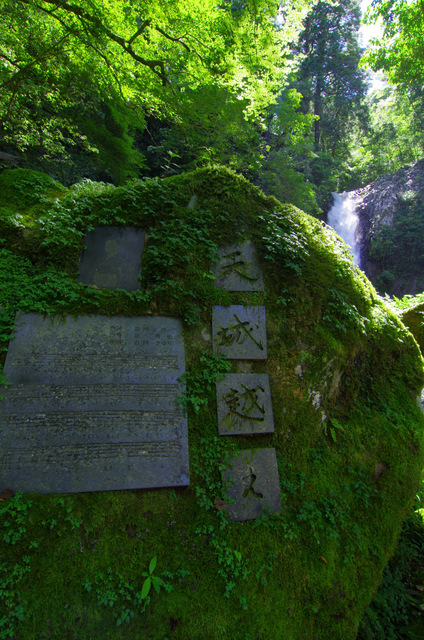 d0186245_252617.jpg