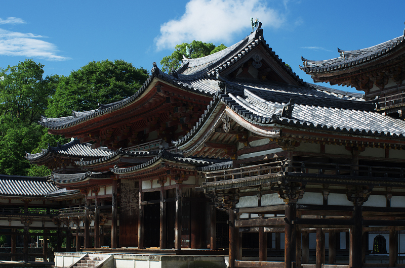 百日紅咲く平等院_f0155048_22204528.jpg