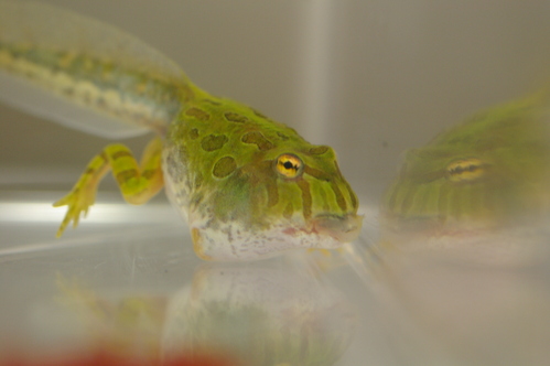 c0145449_2237267.jpg