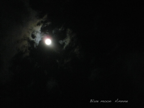 Blue moon_e0262651_18285462.png