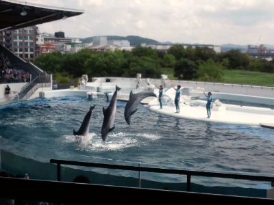 京都水族館☆_f0198056_124414.jpg