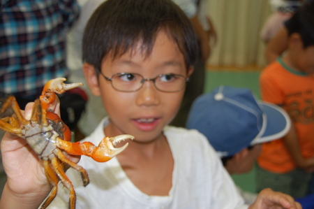 第6回「カニカニウォッチング in せんなん里海公園」_c0108460_23375743.jpg