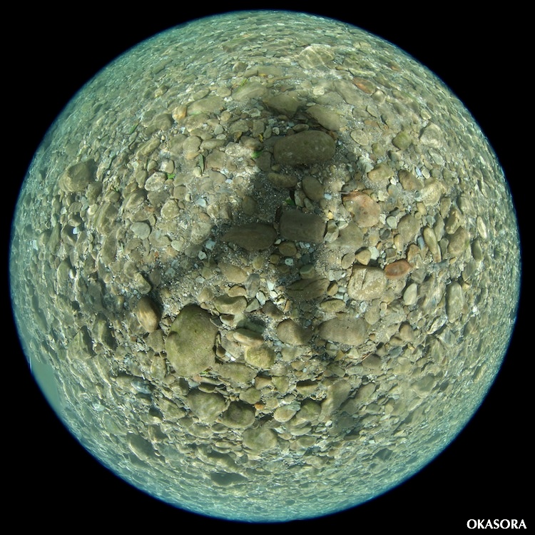 e0158261_651496.jpg