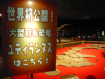 恐竜王国2012_e0033570_926581.jpg