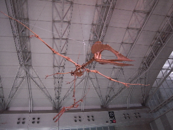 恐竜王国2012_e0033570_9282854.jpg