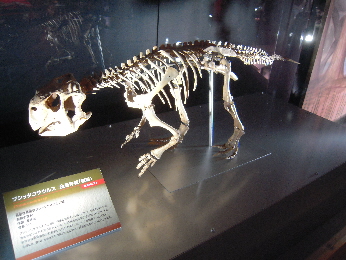 恐竜王国2012_e0033570_9295739.jpg