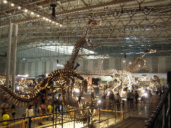 恐竜王国2012_e0033570_9303426.jpg