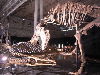 恐竜王国2012_e0033570_9315970.jpg