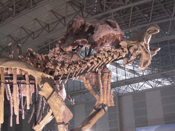 恐竜王国2012_e0033570_932713.jpg