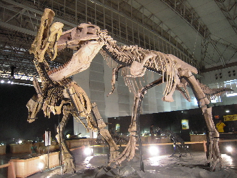 恐竜王国2012_e0033570_9331054.jpg